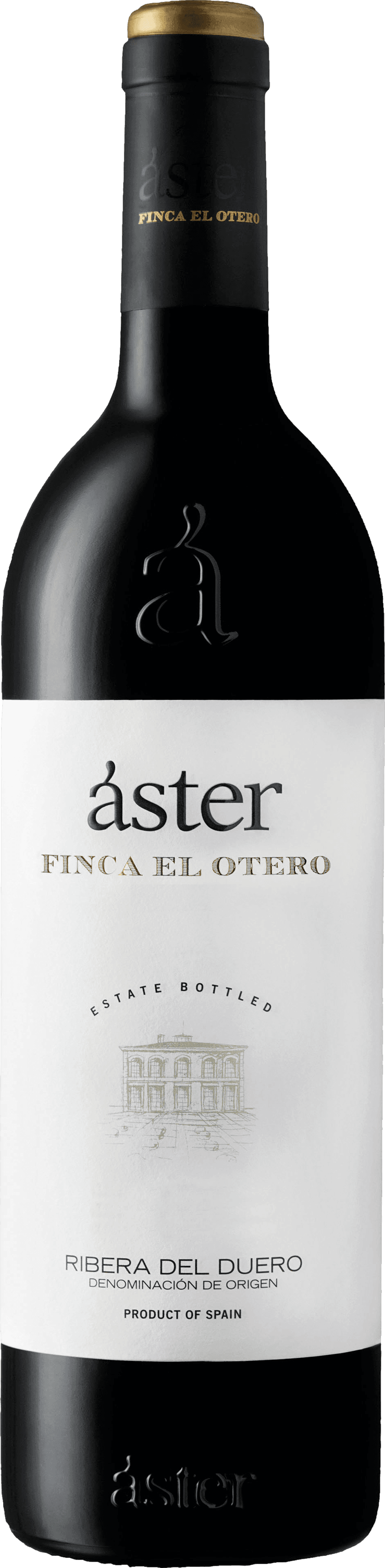 Aster Finca El Otero 2021