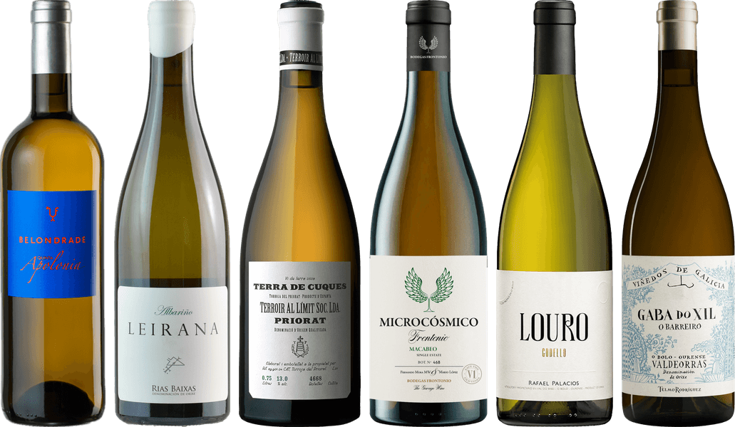 Spanischer Weißwein Premium Verkostungsset