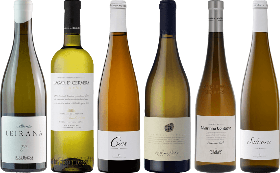 Albarino Premium Verkostungsset
