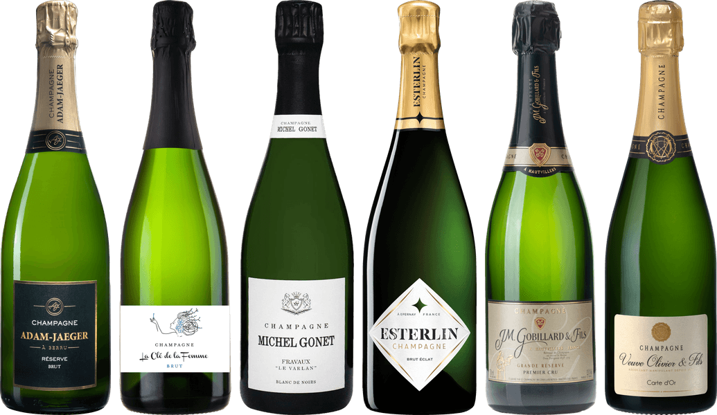 Hochwertiges Champagner-Verkostungsset