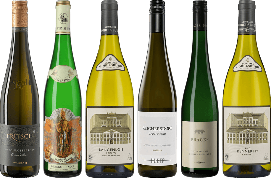 Gruener Veltliner Premium Verkostungsset