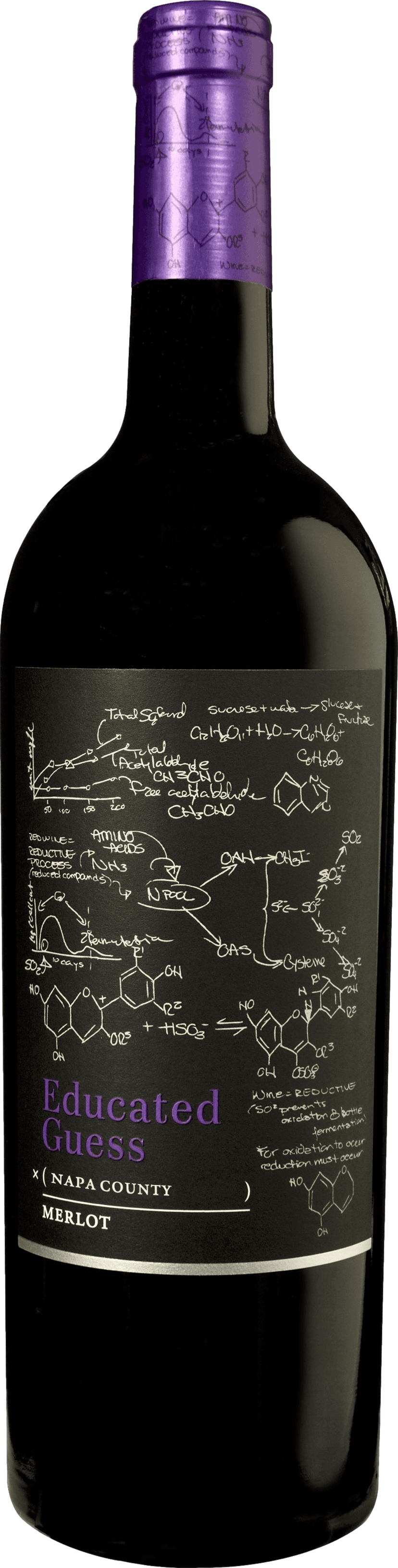 Roots Run Deep Educated Guess Merlot 2023