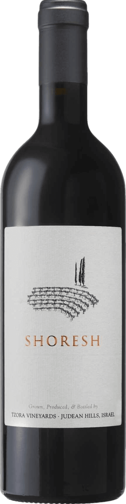 Tzora Shoresh 2024