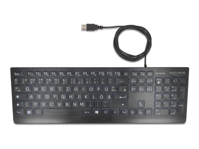 Delock Usb Tastatur Kabelgebunden 1,5 M Schwarz Mit Xxl Bstb