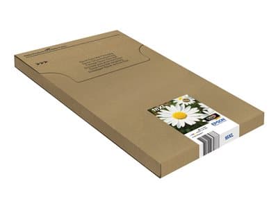 Epson 3lb Multipack 4-Colours 18xl