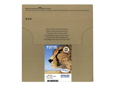Epson 2lb Easymail T071 Cheetah