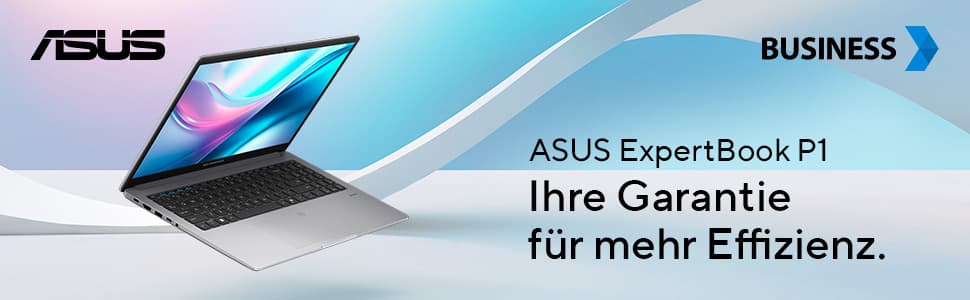 Asus Expertbook P1 15.6" C5-210h 16/512 P1503cva-S72335w W11h