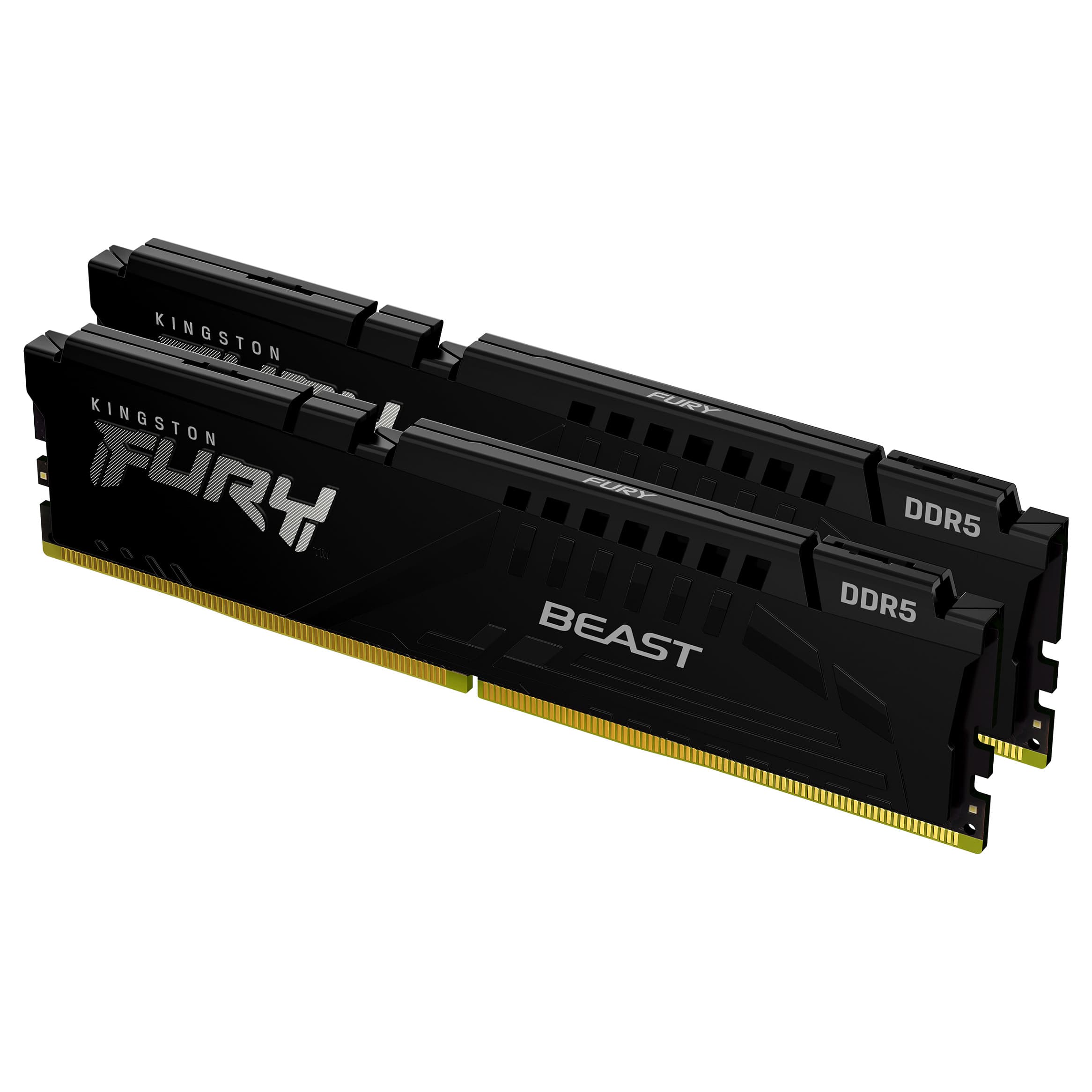 Kingston Technology Fury Beast Memory Module
