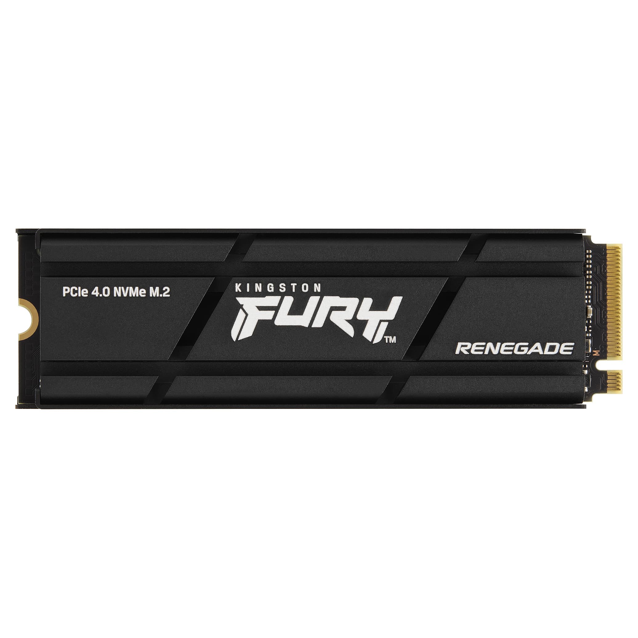 Kingston Technology Fury Renegade