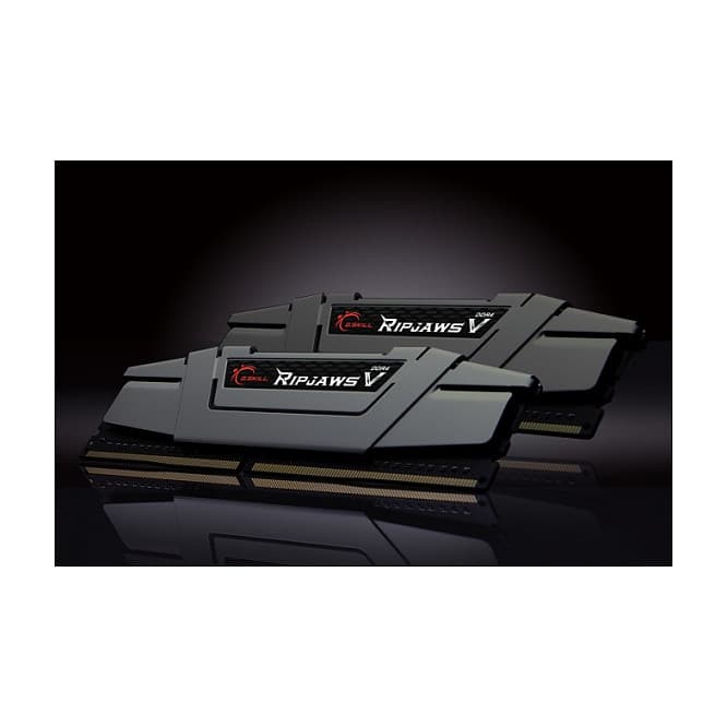 G.Skill Ripjaws V Memory Module