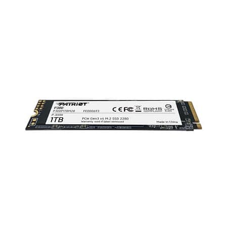 Patriot Memory P300