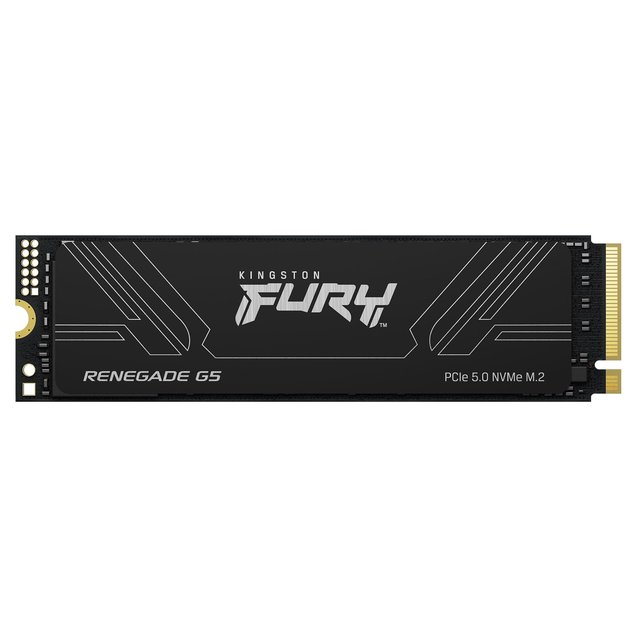 Kingston Technology Fury Renegade G5