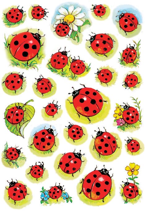 Herma Sticker Decor , Marienkäfer Und Blume,