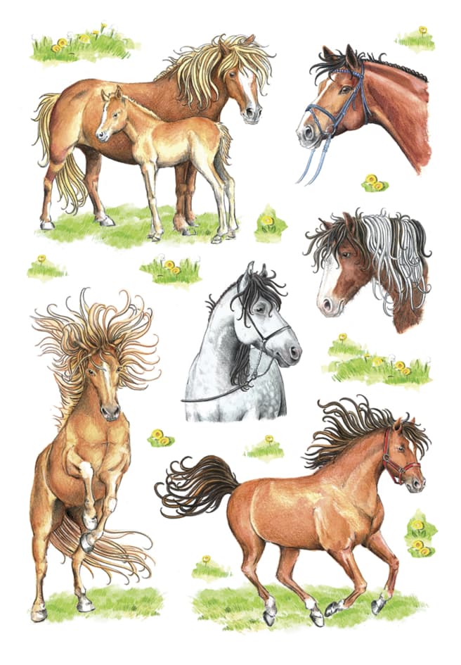 Herma Sticker Decor , Gezeichnete Pferde,