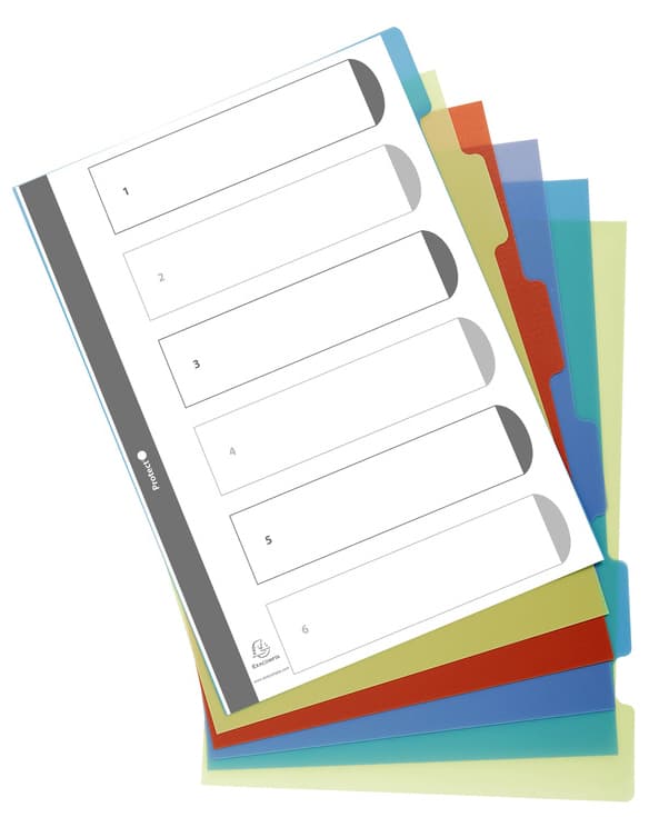 Exacompta Kunststoff-Register, Blanko, Din A4, 12-Teilig