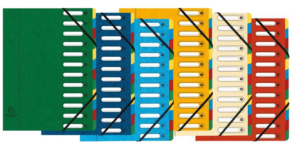 Exacompta Ordnungsmappe, Din A4, Karton, 24 Fächer, Grün