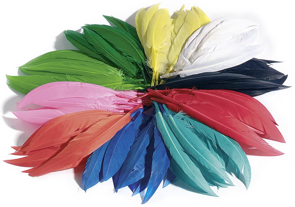 Folia Indianerfedern, 100 G, Farbig Sortiert