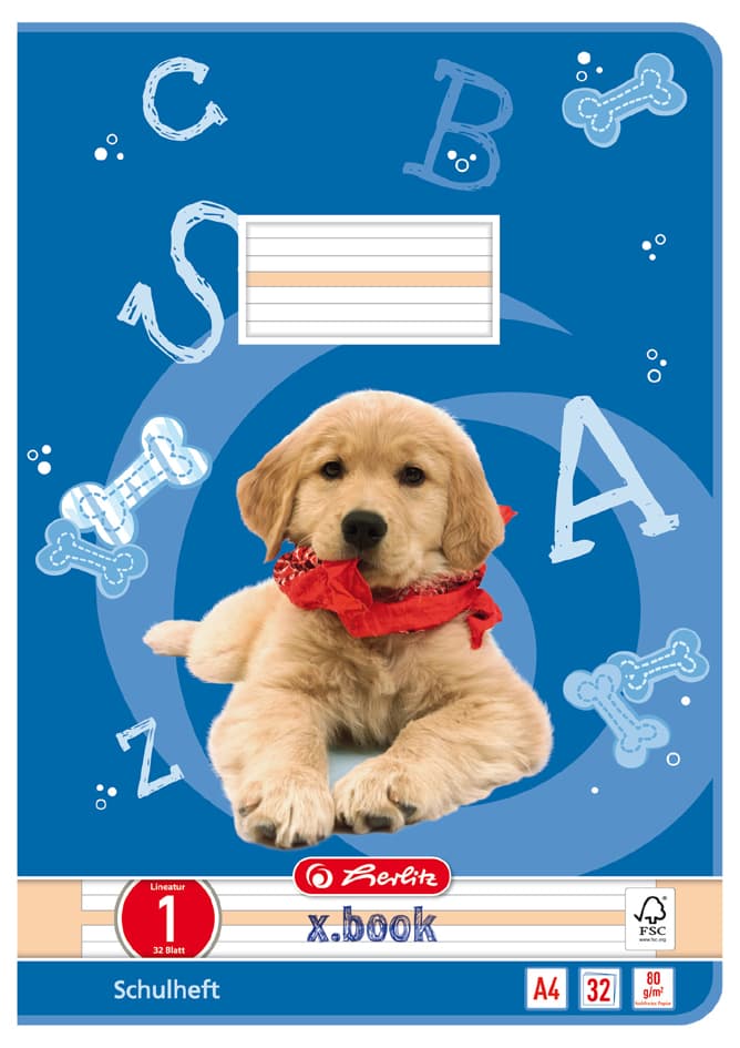 Herlitz Schulheft X.Book, Din A4, Lineatur 1 / Liniert