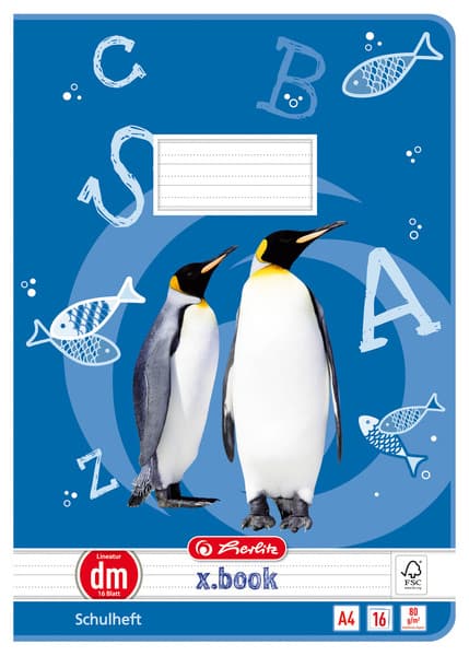Herlitz Schulheft X.Book, Din A4, Lineatur Dm / Liniert