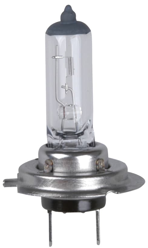 Cartrend Kfz-Lampe H7 Für Hauptscheinwerfer, 12 V, 55 Watt