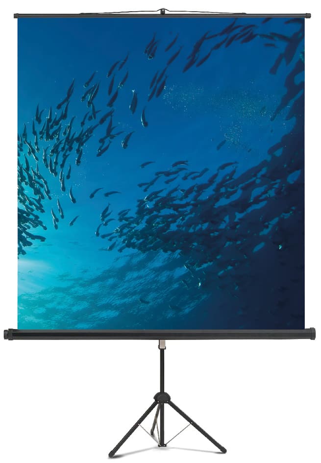Magnetoplan Stativ-Leinwand Standard, (B)1.500 X (H)1.500 Mm
