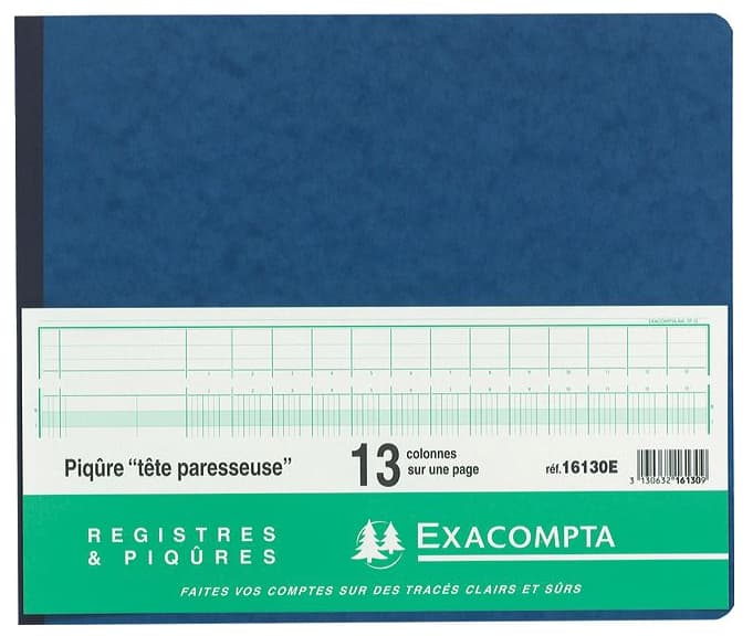 Exacompta Geschäftsbuch Mit Kopfleiste, 17 Spalten