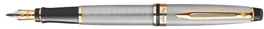 Waterman Füllhalter Expert, Metallic G.C.