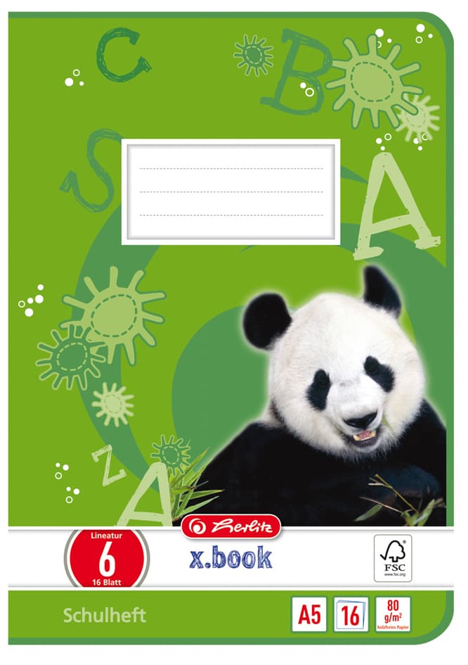 Herlitz Schulheft X.Book, Din A5, Lineatur 10 / Kariert