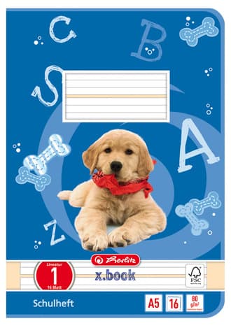 Herlitz Schulheft X.Book, Din A5, Lineatur Dm / Liniert