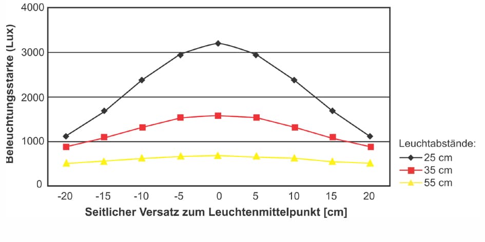 Maul Led-Tischleuchte Maulstudy, Klemmfuß, Schwarz