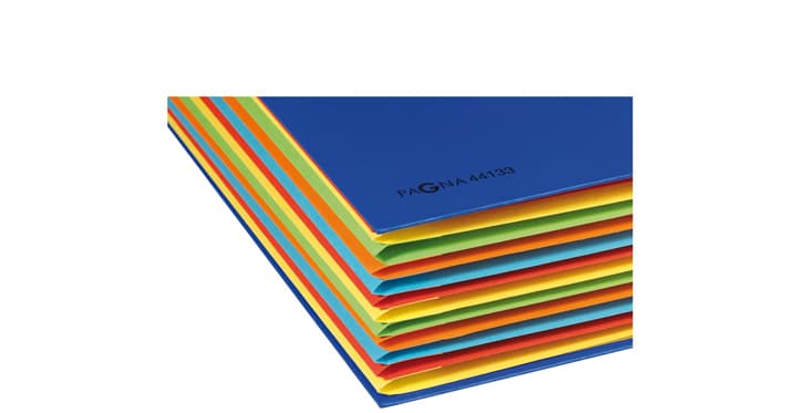 Pagna Ordnungsmappe Deskorganizer Color, 12 Fächer, Rot