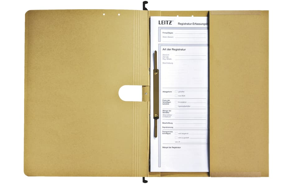 Leitz Alpha Hängehefter, A4, Kaufmännische Heftung, Natron