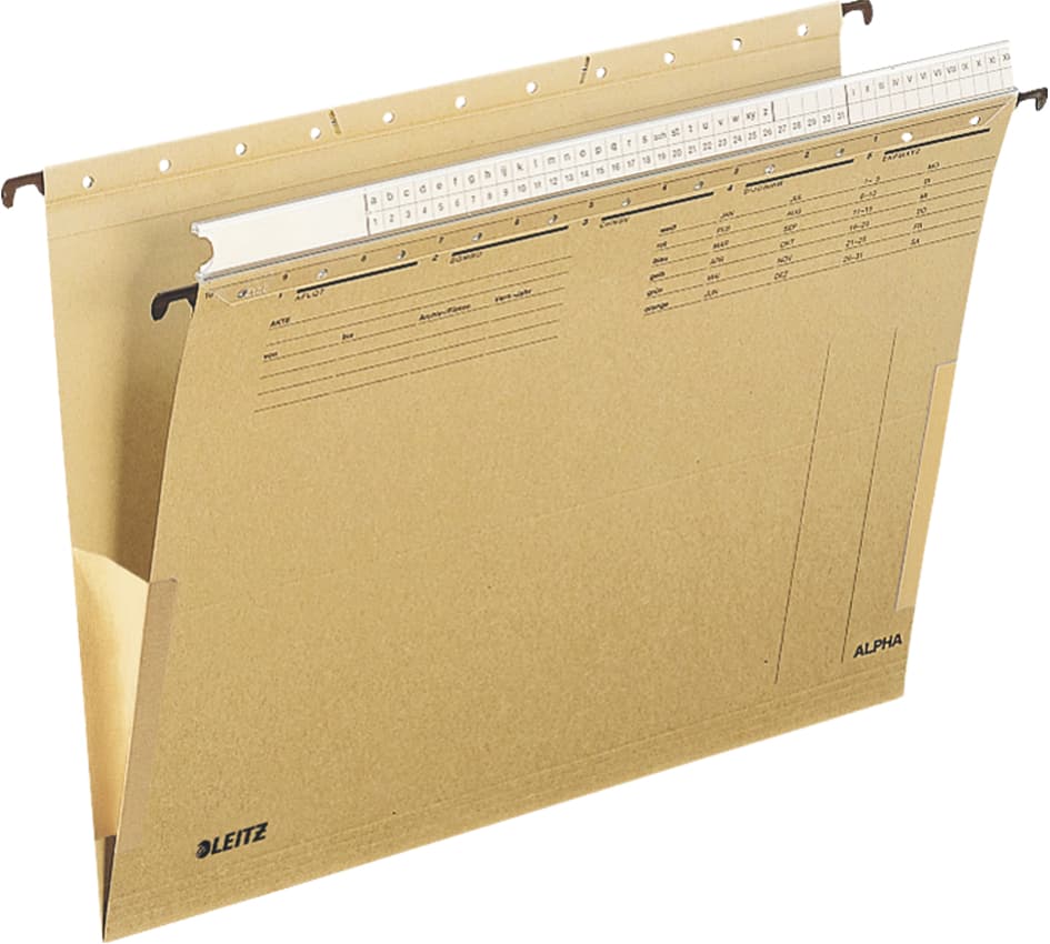 Leitz Alpha Hängetasche, A4, Mit Organisationsleiste, Natron
