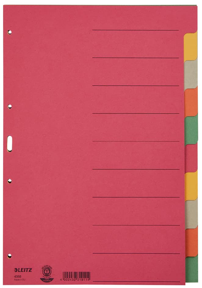 Leitz Karton-Register Extrastark, Blanko, A4, 10-Teilig