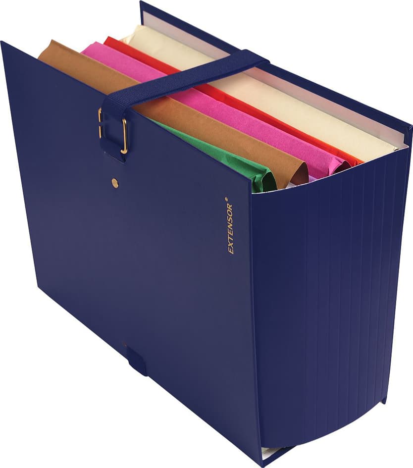 Exacompta Dokumentenmappe Extensor, Din A4, Blau