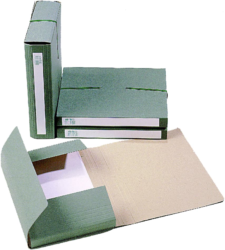 Extendos Sammelbox 1240, Für Din A4, Aus Karton, Grün