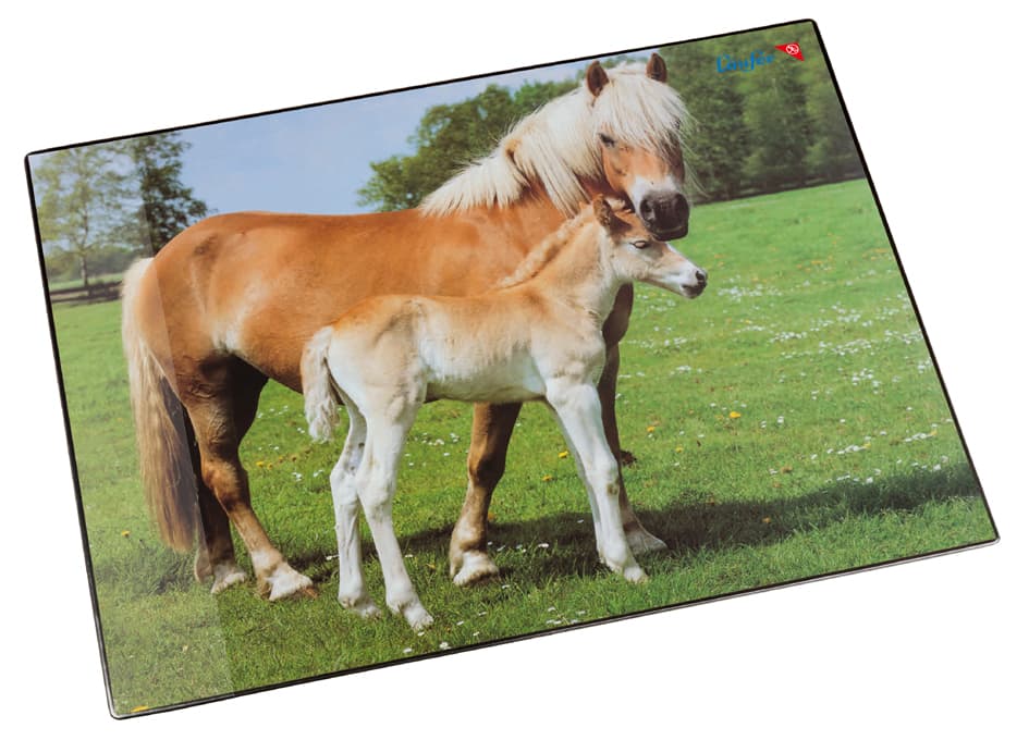 Läufer Schreibunterlage Pferd Und Fohlen, 400 X 530 Mm