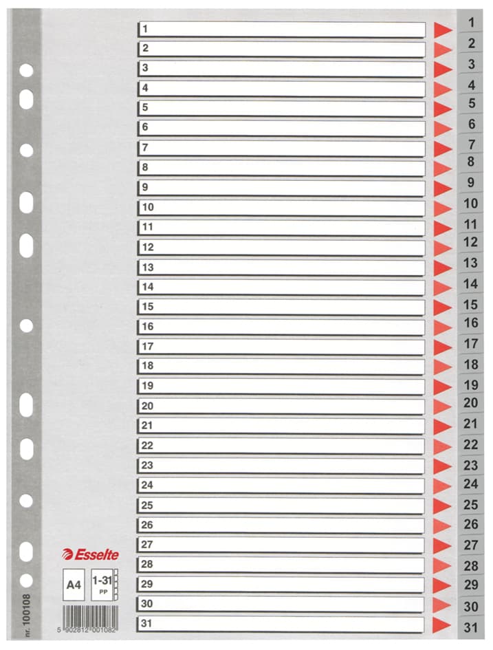 Esselte Kunststoff-Register, Zahlen, A4, 1-31, Grau
