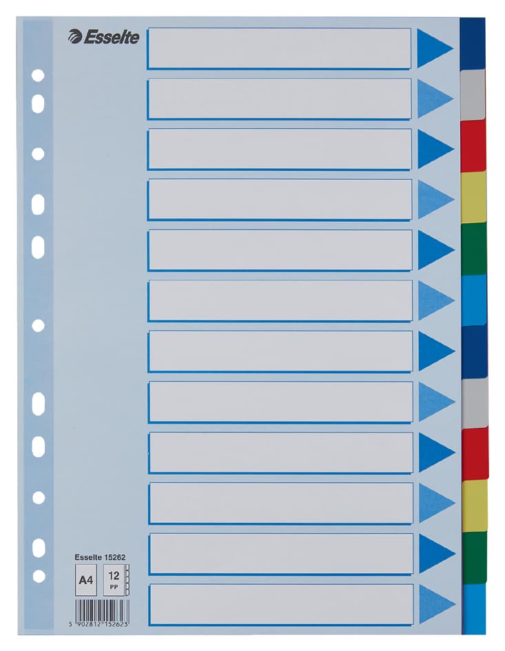 Esselte Kunststoff-Register, Blanko, A4, Pp, 12-Teilig
