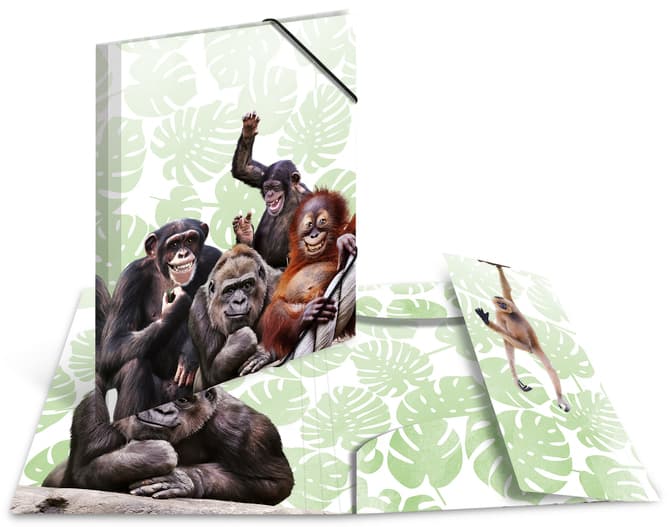 Herma Eckspannermappe Exotische Tiere, A4, Affenbande