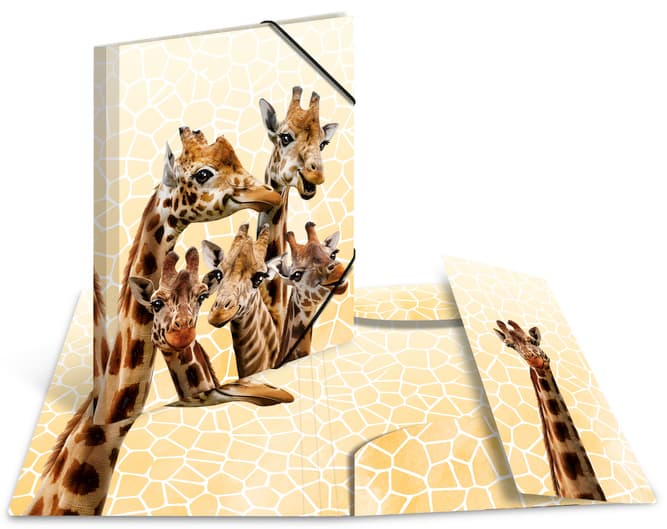 Herma Eckspannermappe Exotische Tiere, A3, Koalafamilie