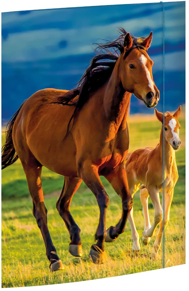 Rnk Verlag Zeichnungsmappe , Free Horses, , Din A3