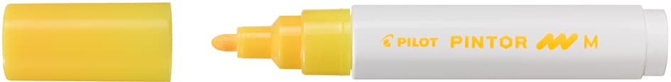 Pilot Pigmentmarker Pintor, Medium, Neonapricot