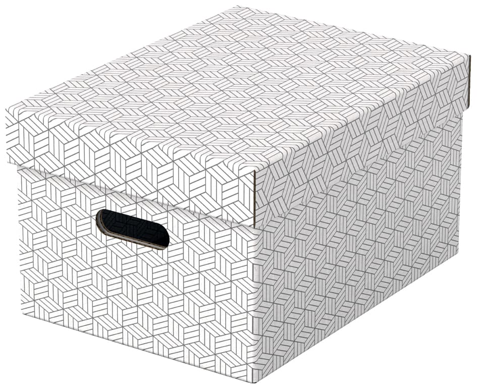 Esselte Aufbewahrungsbox Home M, 3er Set, Weiß