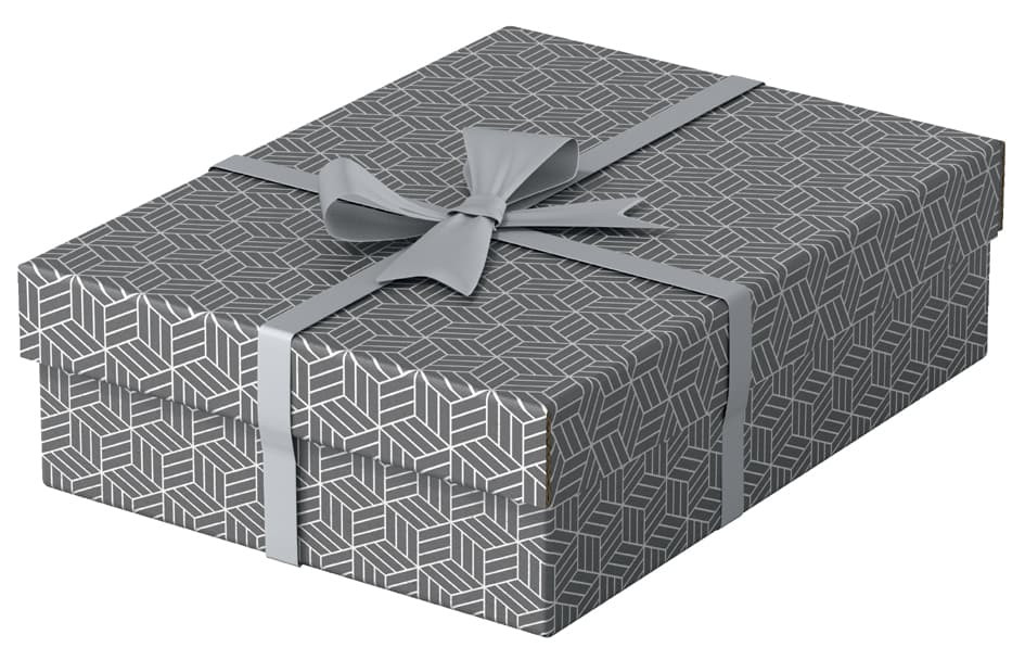 Esselte Aufbewahrungs- & Geschenkbox Home M, 3er Set, Grau