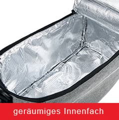 Iwh Fahrrad-Gepäckträger-Kühltasche, Schwarz