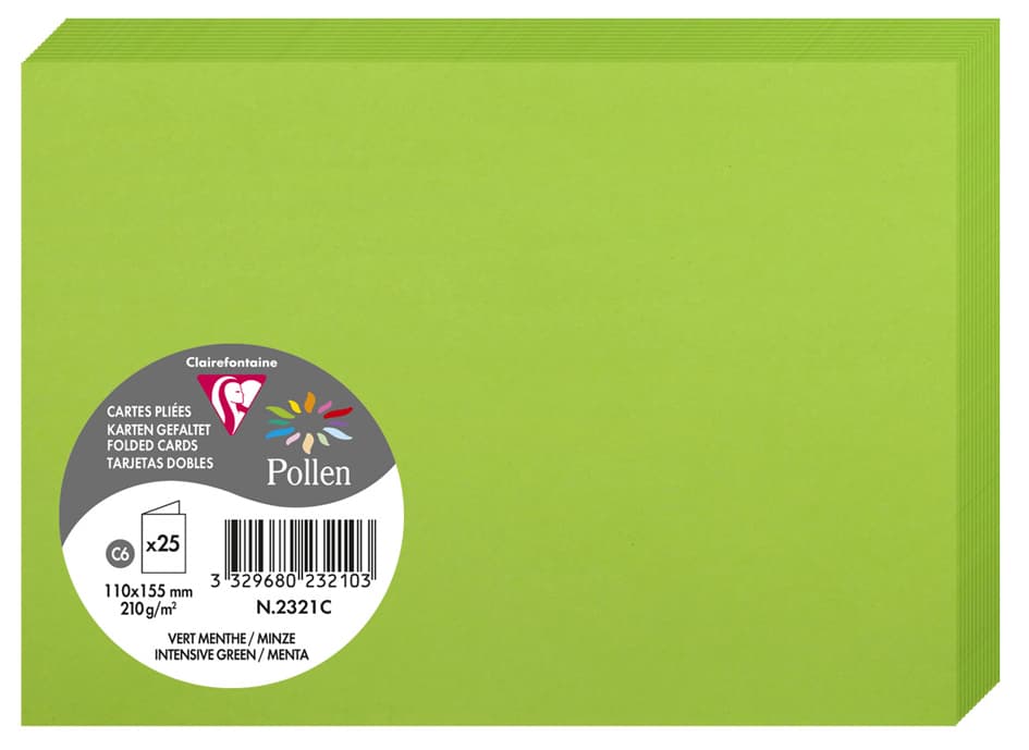 Pollen By Clairefontaine Doppelkarte C6, Minze