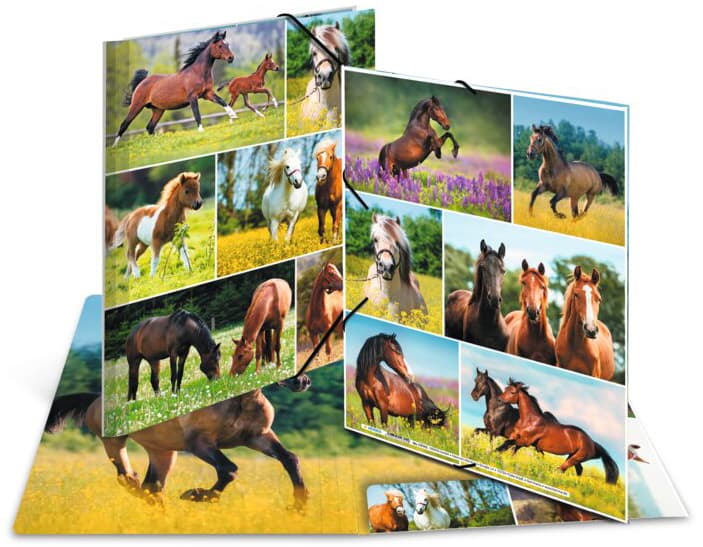 Herma Eckspannermappe , Pferdewiese, , Karton, Din A4