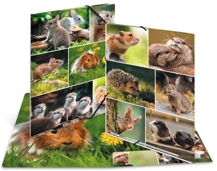 Herma Eckspannermappe , Nagetiere, , Karton, Din A4