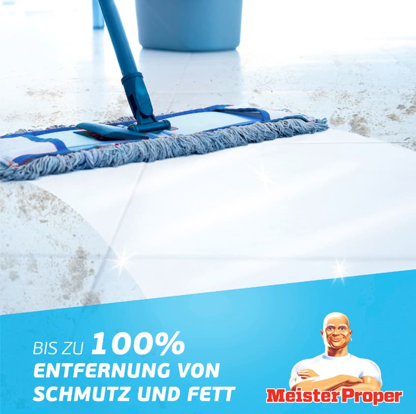 Meister Proper Allzweckreiniger, 1 L, Citrusfrische